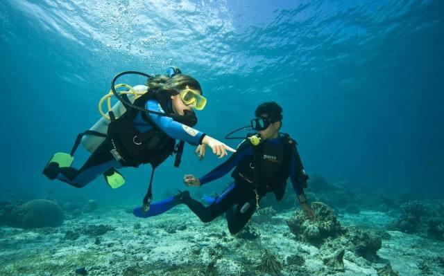 痛风用止疼药非甾体还是秋水仙碱?哪个止疼效果更好?一文说清